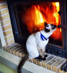 puertas-para-chimeneas
